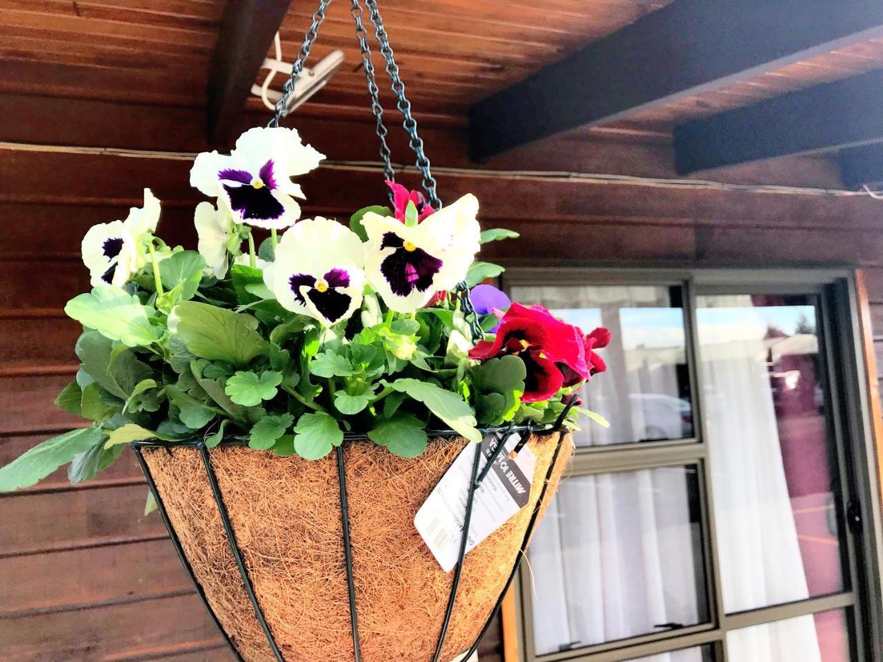 Grange Motel Auckland Ngoại thất bức ảnh